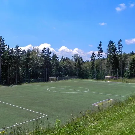 Awesome In Pohorje With Wifi *