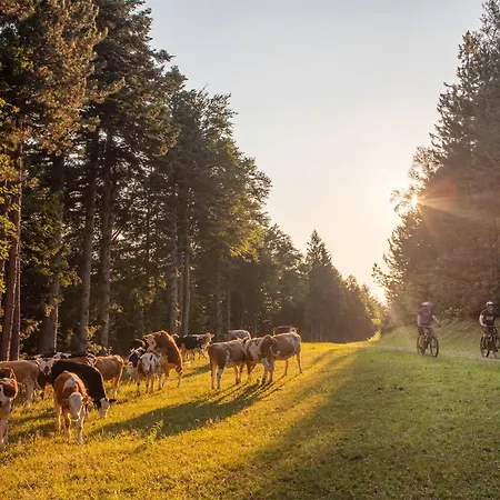 Awesome In Pohorje With Wifi