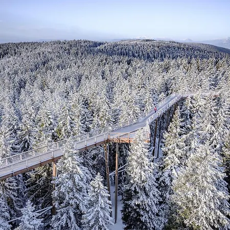 Apartma Awesome In Pohorje With Wifi