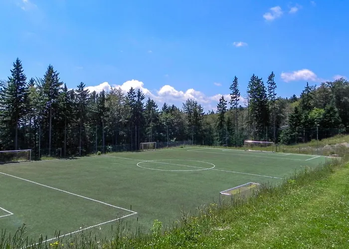 Awesome In Pohorje With Wifi *