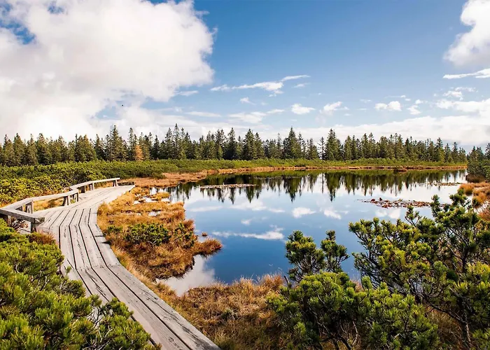 Awesome In Pohorje With Wifi شقة