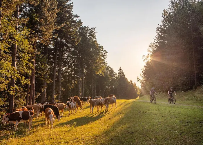 Awesome In Pohorje With Wifi